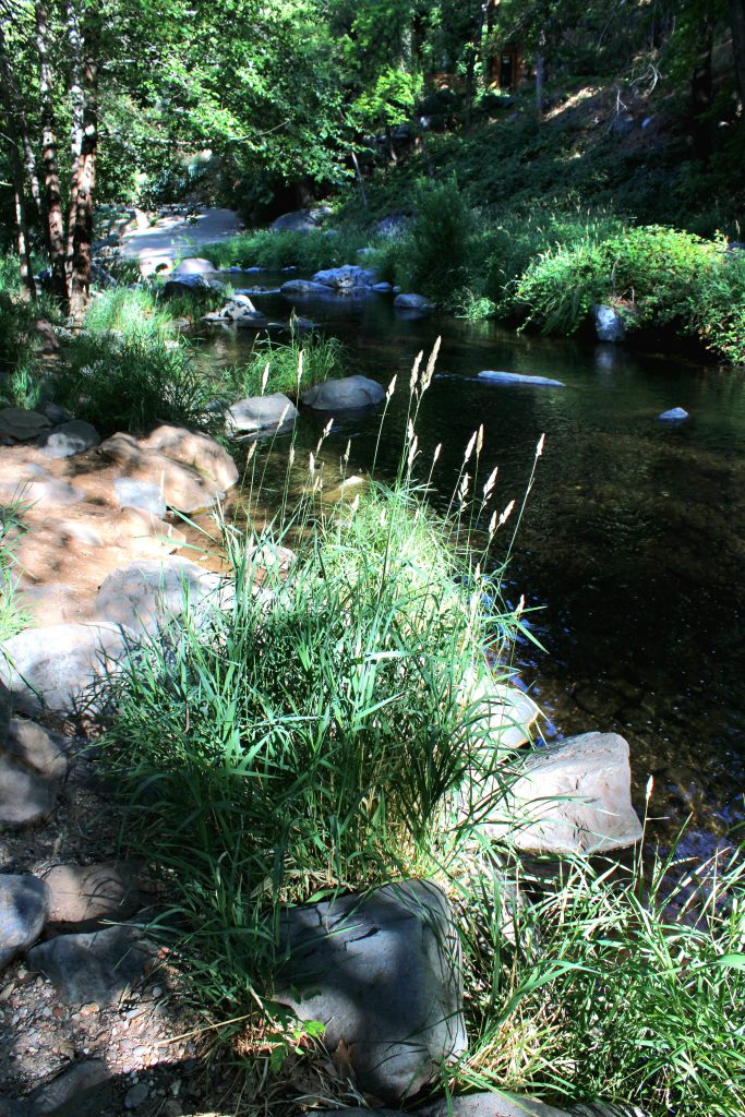 Rocks and grass at Oak Creek Canyon, Arizona